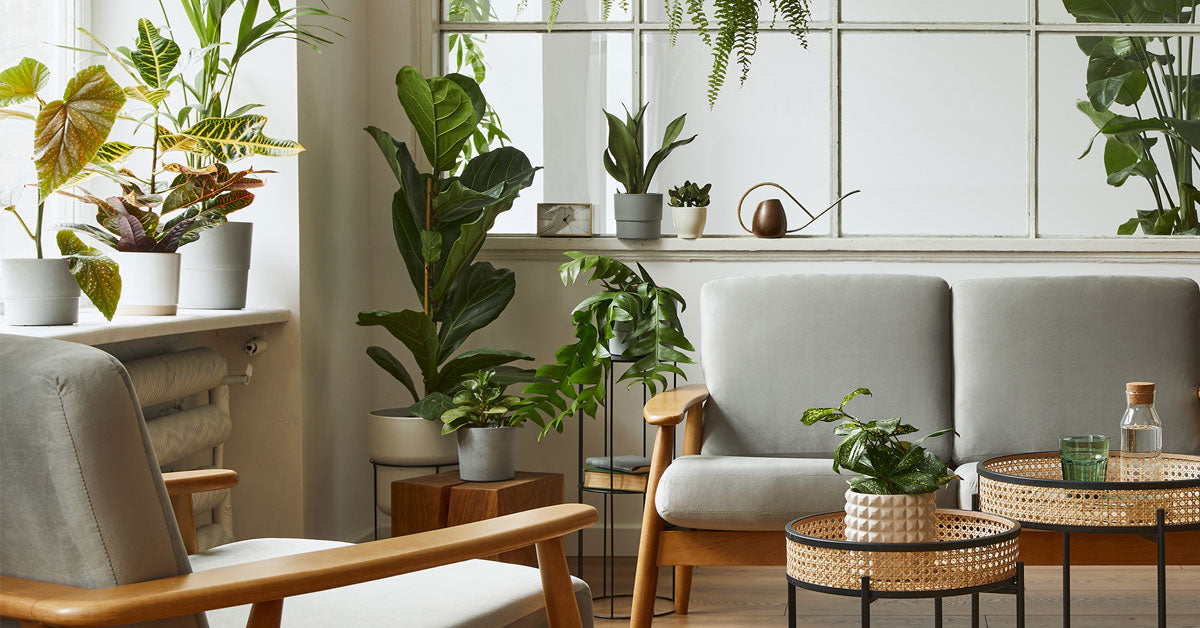 Décor-Tips-to-Boost-Your-Mood-and-Refresh-Your-Homes-Feel